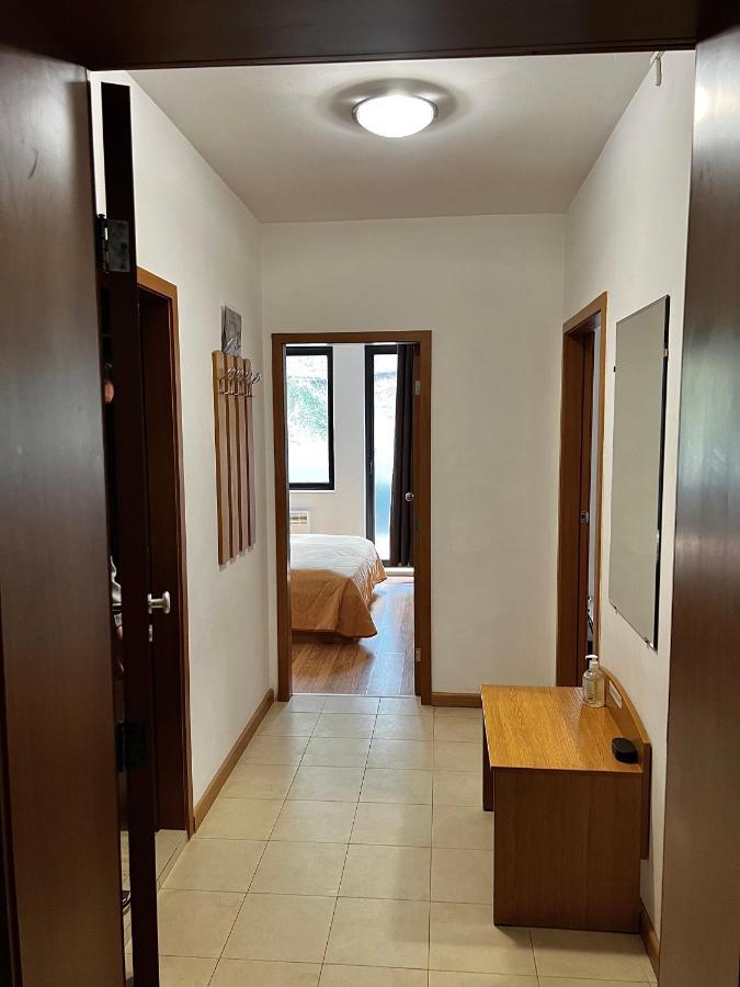 Christina Apartment In Laplandia Pamporovo Buitenkant foto